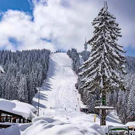 Lägenhet мезонет лапландия Pamporovo