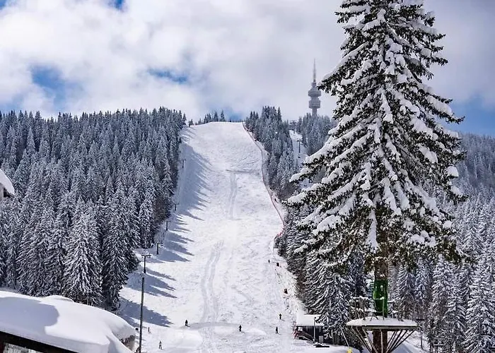 Lägenhet мезонет лапландия Pamporovo